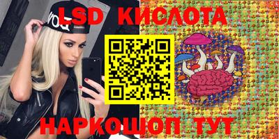a pvp Моздок